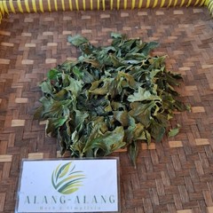 Daun seruni Jalar (Sphagneticola trilobata) Wedelia Dried Leaves