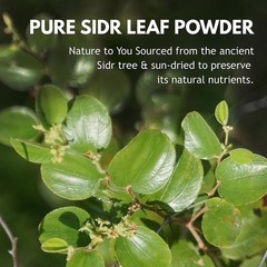 Yemeni Sidr Powder 50–500g | Pure Sidr Leaf for Hair, Skin Cleanser سدر يمني نقي