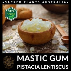 MASTIC GUM Resin 25g Tears of Chios | Pistacia Lentiscus Sacred Shaman Medicinal