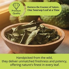 Soursop Leaves, 200+Graviola Leaves, Hojas De Guanabana Leaf, Tea,