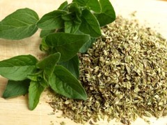 Oregano Essential Oil | 1floz to 8floz | 100% Pure Natural Hand Crafted