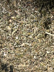 Sage Lettuce Damiana Catnip Colts Lobelia Skullcap Mull Passionflower -No.28 Mix