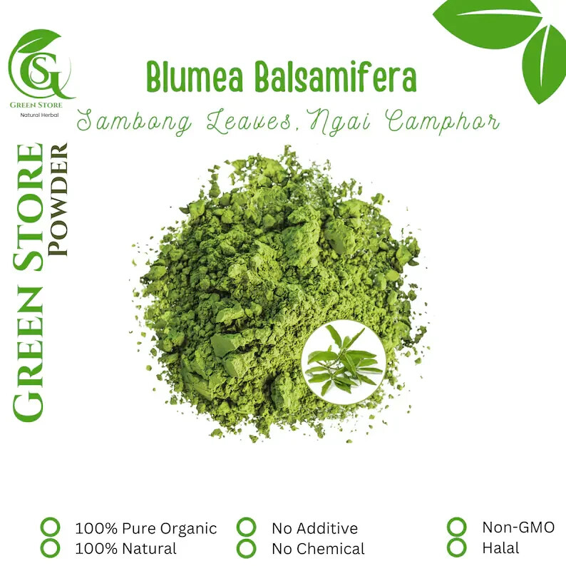 Organic Pure Powder Of Sambong Leaves ( Blumea Balsamifera ) Sembung Wildcrafted