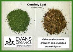 Comfrey Healing Salve 4 oz – Free Shipping!