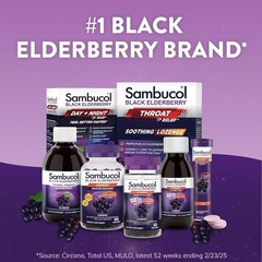 Sambucol Black Elderberry Syrup Original 7.8 Fl Oz (Pack of 1),