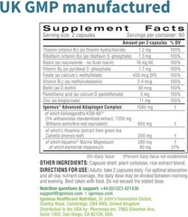 Igennus High Strength Ashwagandha KSM-66 w/ L-Theanine & Magnesium – 180ct.