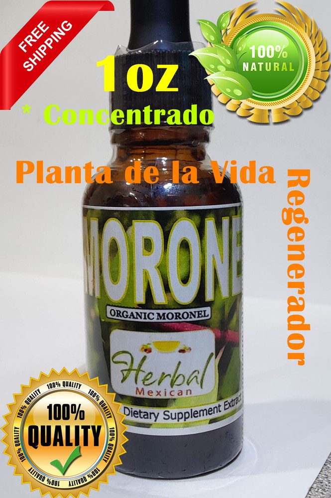 1oz Moronel Concentrado Planta de La Vida Natural Potente Regenerador celular