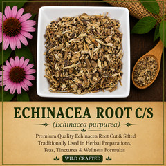Echinacea Root C/S Wild Crafted Echinacea purpurea Premium Herbal | Cut Sifted