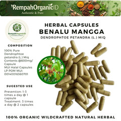 100 CAPSULES Dendrophthoe Petandra(L.) MIQ Benalu Mangga NATURAL ORGANIC HERBS