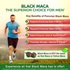 wellness formula – MACA PLUS 1300MG 2B – stinging nettle extract