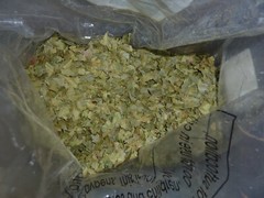 FLORIDA Dried Mango Leaf Pure Natural Organic 300g Ayurveda Herbal Tea