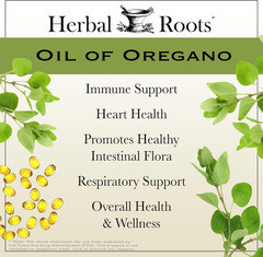 Oil of Oregano – Made from Mediterranean Oregano Oil – 90 Easy to Swallow Softge