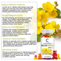 Organic Mullein Leaf Gummies,3 x 60PCS 2000mg, Herbal Natural Dietary Supplement