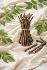 20 Pc Neem Sticks Azadirachta Indica Sticks DATUN for Teeth Free Shipping