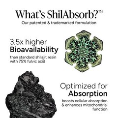 ROOT LABS 4000mg Pure Shilajit Gummies w/ KSM-66 Ashwagandha, No Sugar, 60