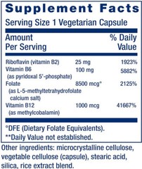 HOMOCYSTEINE RESIST HEART BRAIN VITAMINS B2 B6 B12 60 Vege Caps LIFE EXTENSION