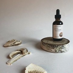 BIRCH POLYPORE MUSHROOM – TINCTURE