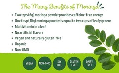 KULI KULI / PURE Moringa Organic Green Superfood Powder / 7.4 oz / BB 10/15/2026