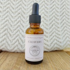Organic Cleavers Extract Fresh Cleavers tincture, Wildcrafted 1 oz, lymph herb