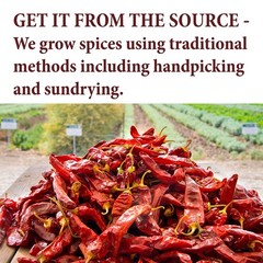The Spice Way Fenugreek Seeds – Whole (8 oz) great for Indian curry seasoning