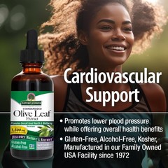 Nature’s Answer Alcohol-Free Olive Leaf Extract, & Gluten-Free, 2 Fl Oz