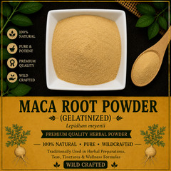 Gelatinized Maca Root Powder Lepidium meyenii Premium Herbal Powder | USA | Peru