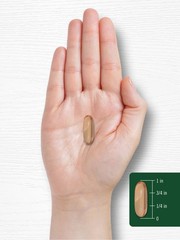 Lecithin 2400mg | 240 Softgels | Phospholipid Supplement | Non-GMO | by Carlyle