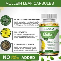 Mullein Leaf Capsules Support Lung Cleanse Respiratory Function 120 Softgels