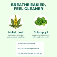 Mullein Drops Tincture for Lung Detox – Alcohol-Free Respiratory Support, 1 Mont