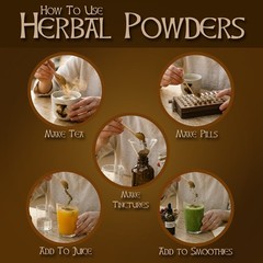 Astragalus Root Powder – High Potency Immune & Energy Herb – USA Made
