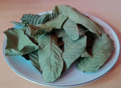 25g Sun-Dried Cassia Alata Leaves Powder Organic Herbal Skin Care Fresh Herb