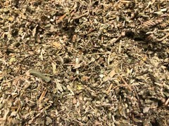 No.25 Herb Blend Mix- California Poppy Damiana Leaf Coltsfoot Catnip – 4 ounce’s