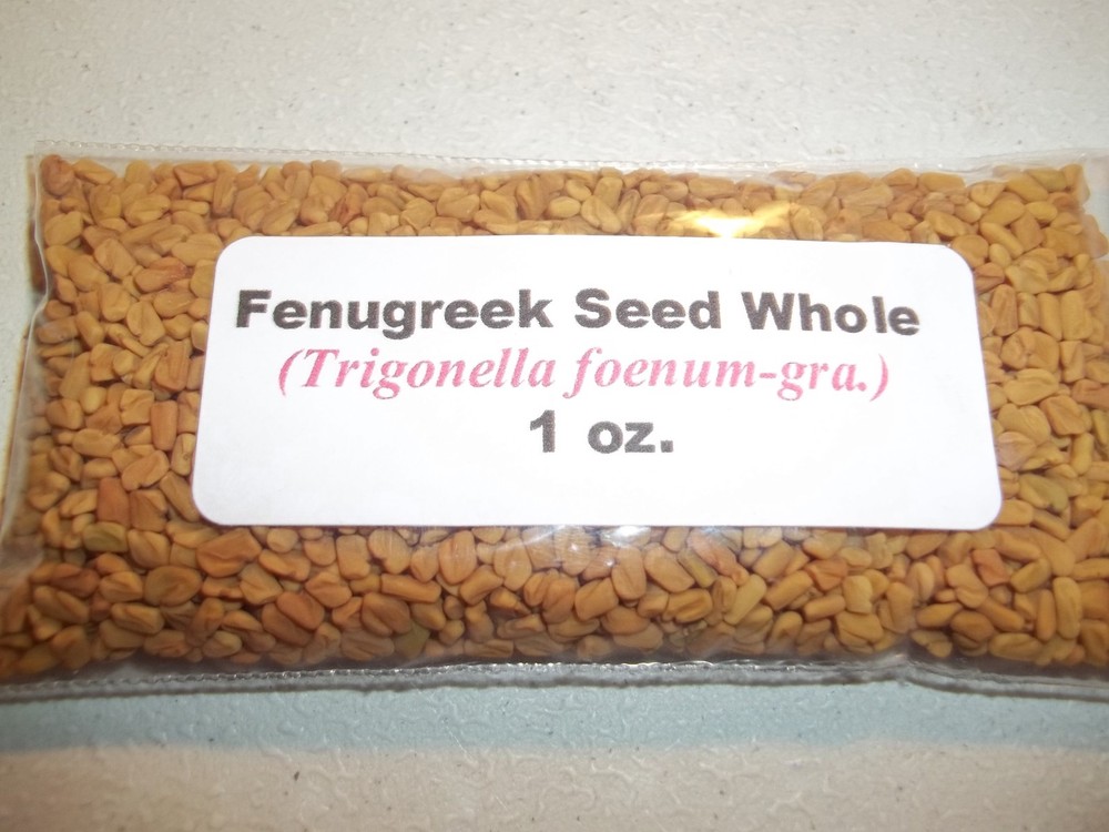 1 oz. Fenugreek Seed Whole (Trigonella foenum-graecum)