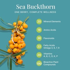 100% Natural Sea Buckthorn Berry Powder 200gm for Skin, Immunity, Gut & Heart