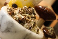 Poke Root – Whole Dried Root, Spring 2023 Appalachian Mountains Wild Harvest