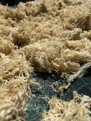 Premium Grade A Gold Sea Moss – 20 lbs (Bulk Wholesale)