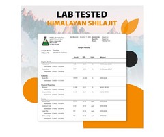 PakShilajit® Gold-Grade Shilajit Resin 15g – 84+ Minerals, 45–70 Days Sun-Dried