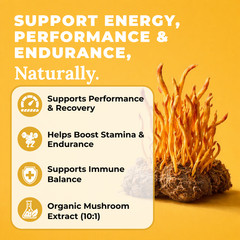 Grow Cordyceps Mushroom Extract Capsules 10:1 | Energy Endurance | 60 Ct
