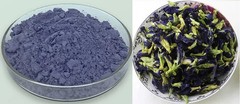 Organic Butterfly Pea Flower Powder Natural Herbal Tea 250g