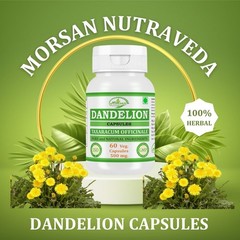 Dandelion (Taraxacum officinale) Capsules Herbal Supplement Pack 240 Veg Capsule