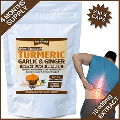 240 PILLS TURMERIC 95% CURCUMIN BLACK PEPPER GARLIC & GINGER ANTIOXIDANT IMMUNE