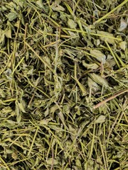 25 Grams Dried Euphorbia Hirta – Asthma Weed, Badi Dudhi,Snakeweed,Hairy Spurge