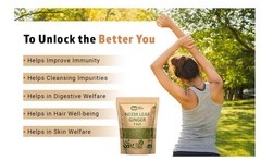 Neem Ginger Tea – 8 oz (2 Pack) – Caffeine-Free – Immunity & Digestive