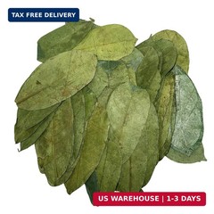 Purelife Herbs® Soursop Leaves Tea, 200 Whole Dried Leaves, Wildcrafted Graviola
