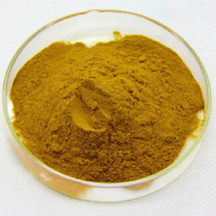 Venivel Calumba powder | pure Natural Organic Coscinium Fenestratum | Skin Care