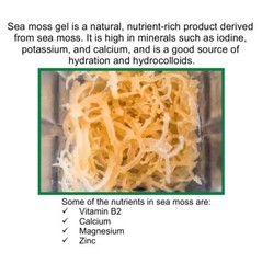 Organic Irish Sea Moss with Bladderwrack and Burdock – 60 Capsules