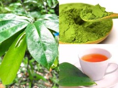 100% Organic Pure SOURSOP Graviola Leaf Guanabana Muricata Powder Hojas Annona