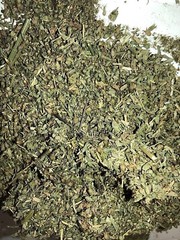 Damiana & Catnip WHOLESALE BULK Herbal Leaf Natural Blend Mix Tea – 5 lb Pounds