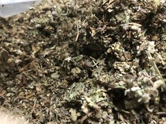 No.23 Blend Herb Osha Lobelia Mullein Colts Catnip Raspberry Mint – 1/2 oz Ounce