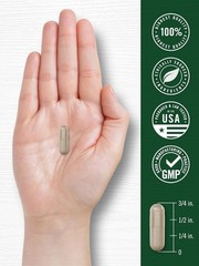 Panax Ginseng + Ginkgo Biloba | 120 Capsules | 5,000mg | Vegetarian | by Carlyle